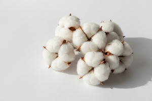 Fragrance-Free Pads: What Labels Really Mean
