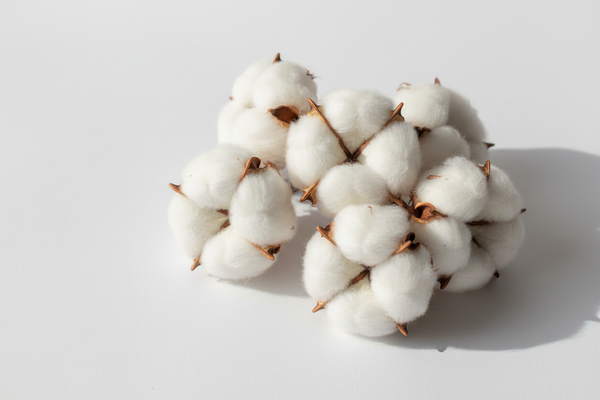 Fragrance-Free Pads: What Labels Really Mean