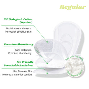 (NEW) Regular Pad 36pcs (1 PACK / SET)