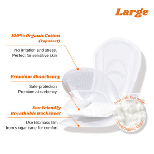 (NEW) Regular Flow Set _Regular 36p 2 pack & Large 32p 1pack