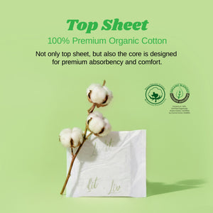 (NEW) Regular Pad 36pcs (1 PACK / SET)